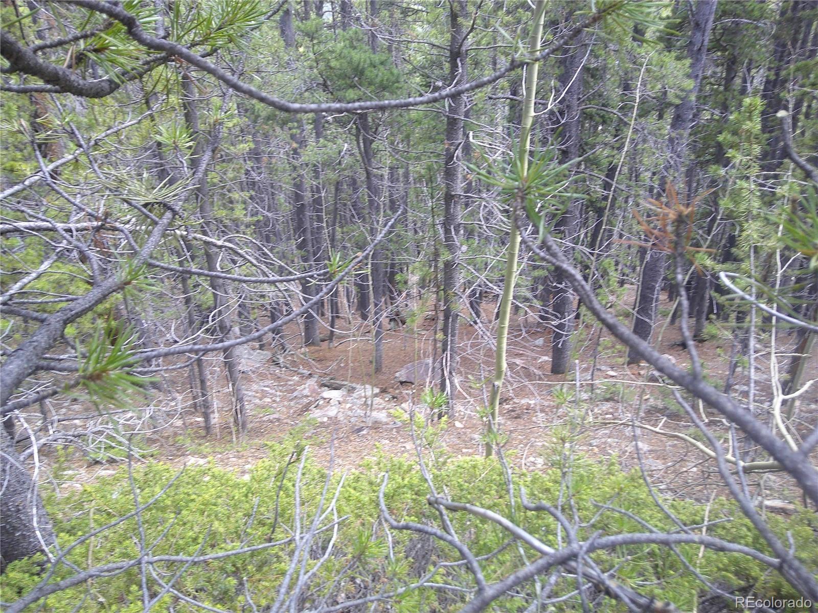 Lot #441 Hillside Road Idaho Springs CO 80452