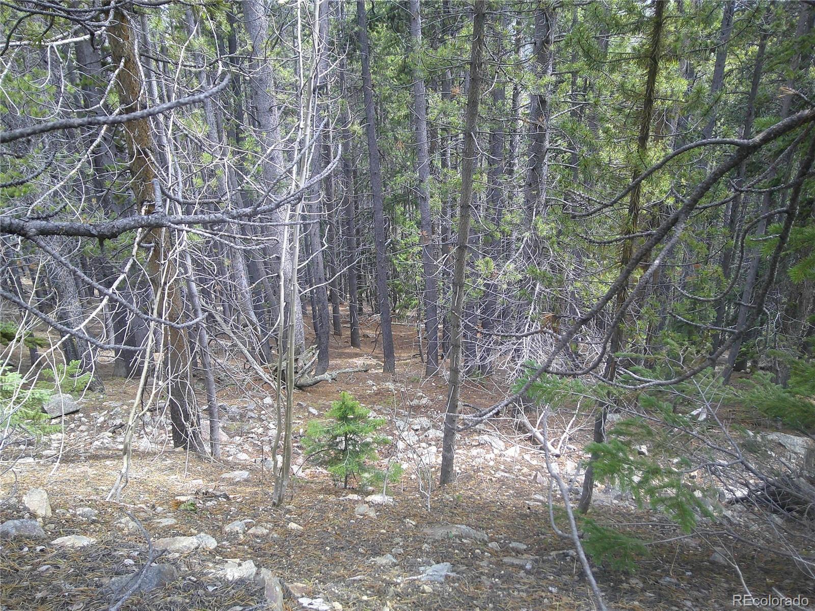 Lot #441 Hillside Road Idaho Springs CO 80452