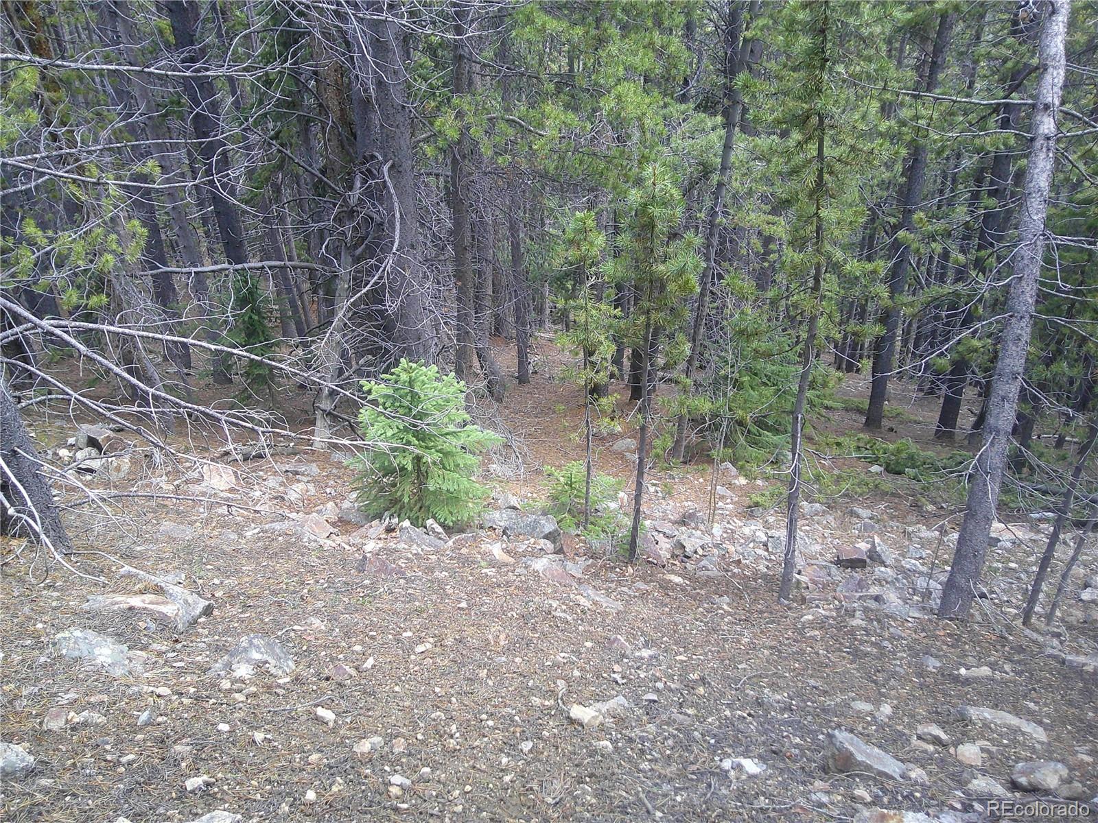 Lot #441 Hillside Road Idaho Springs CO 80452