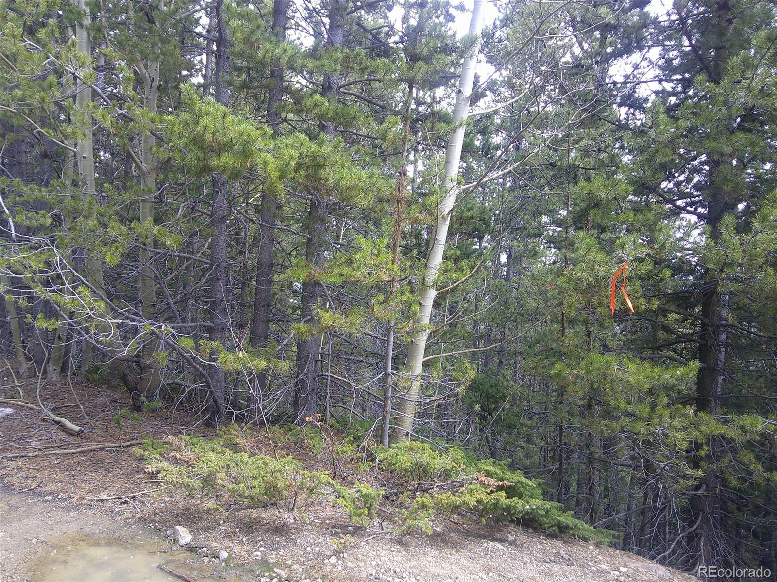 Lot #441 Hillside Road Idaho Springs CO 80452