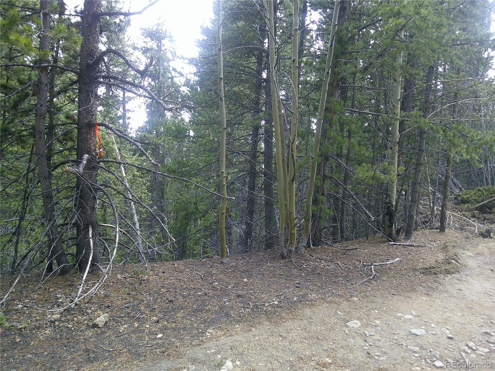 Lot #441 Hillside Road Idaho Springs CO 80452