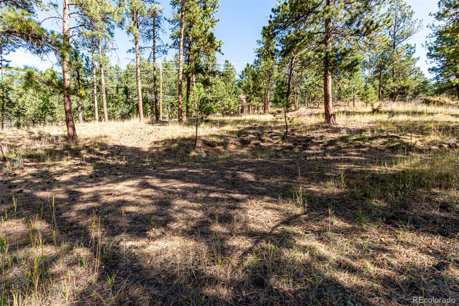 27406 Mountain Park Road Evergreen CO 80439