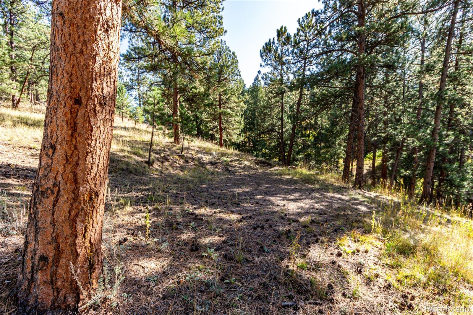 27406 Mountain Park Road Evergreen CO 80439