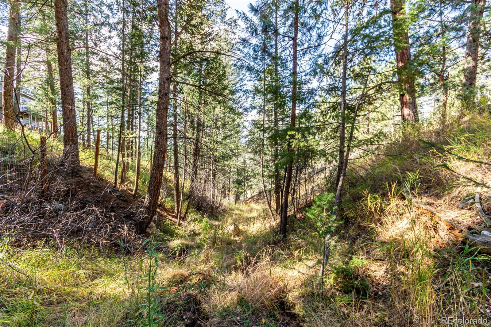 27406 Mountain Park Road Evergreen CO 80439
