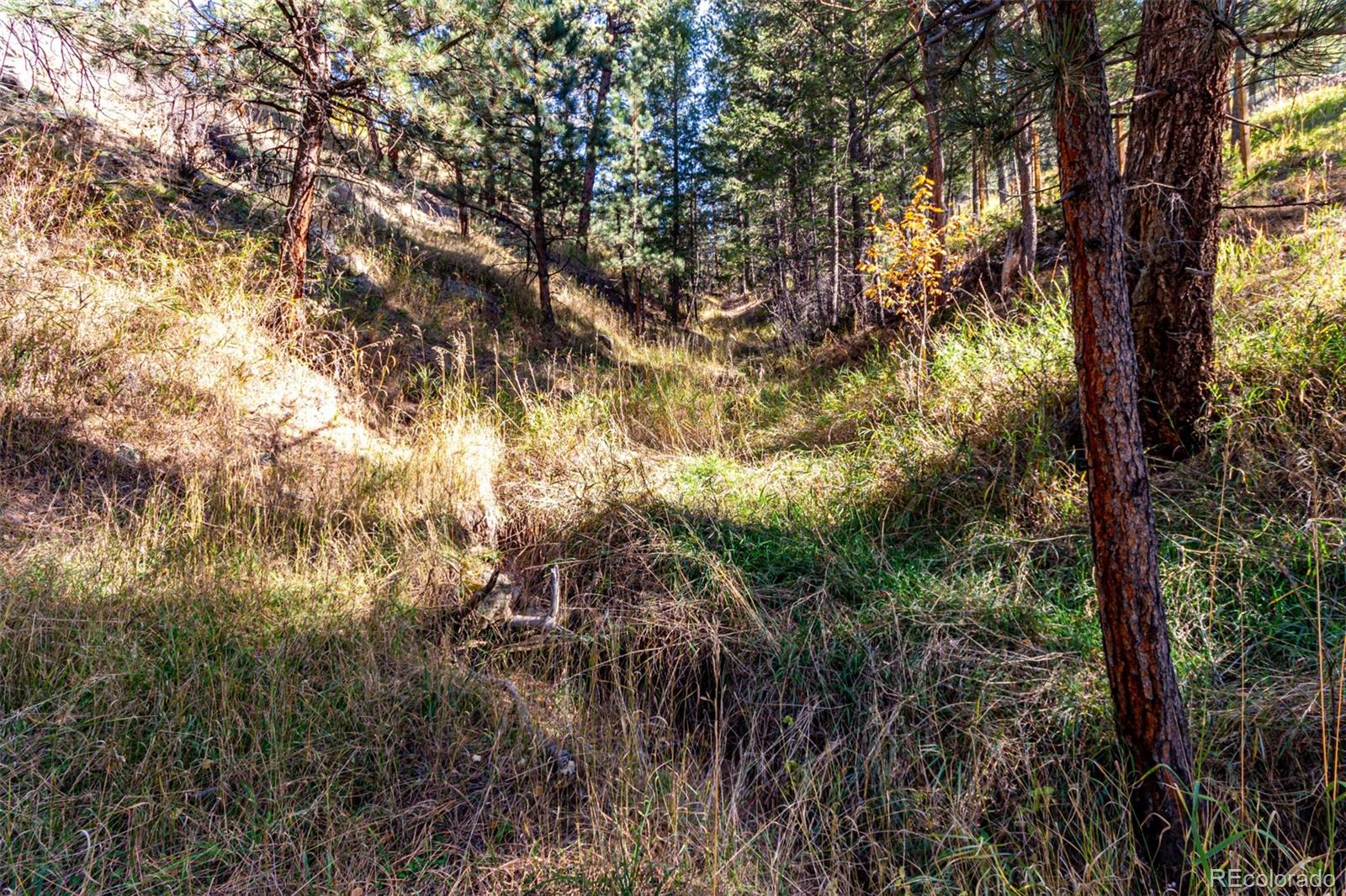 27406 Mountain Park Road Evergreen CO 80439