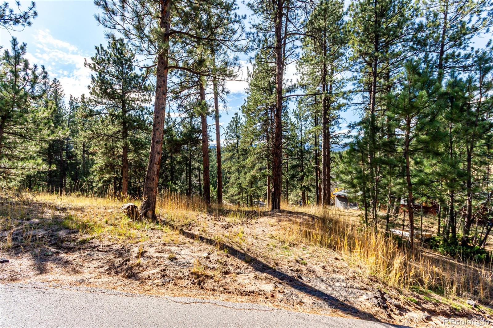 27406 Mountain Park Road Evergreen CO 80439