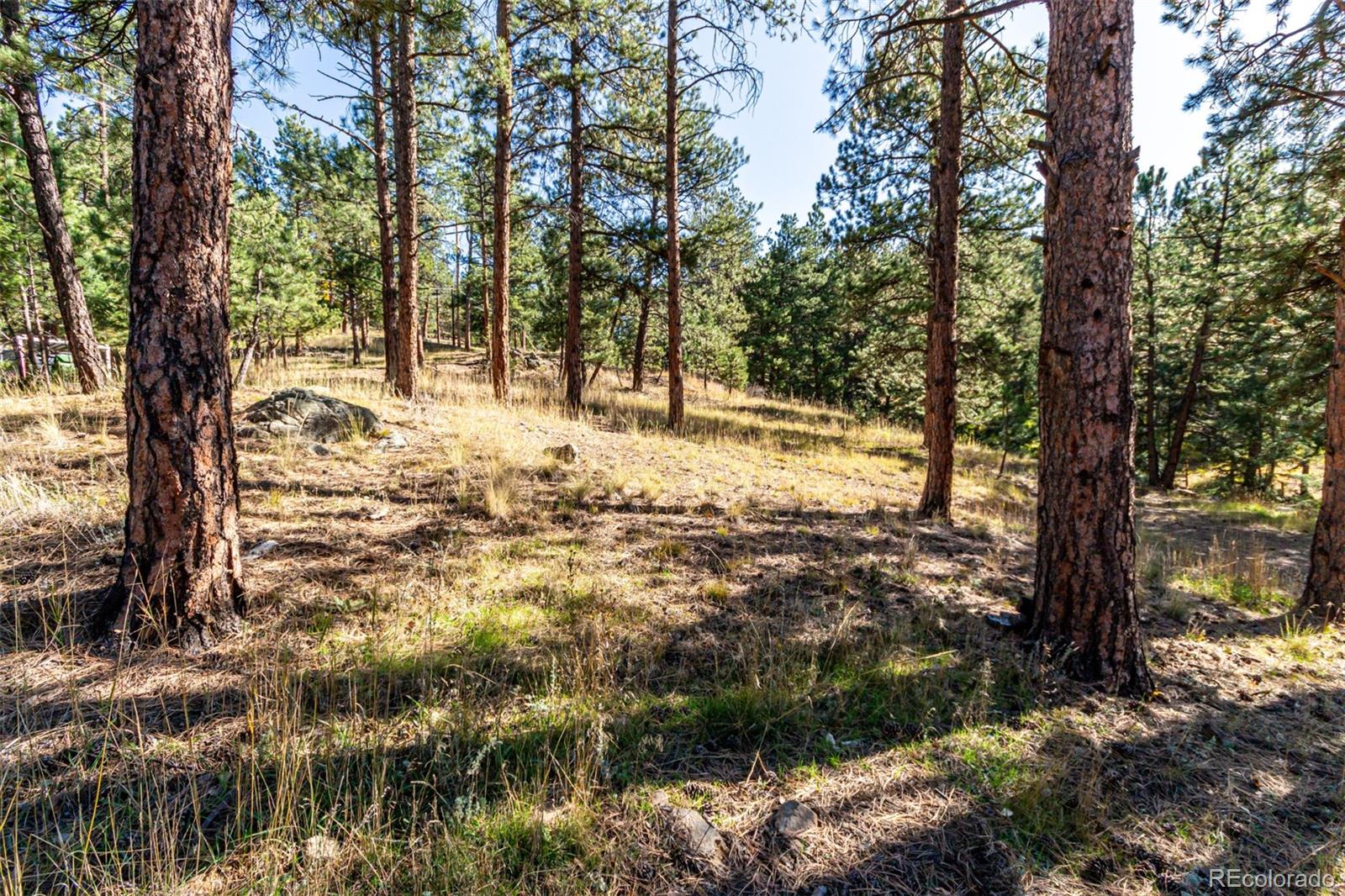 27406 Mountain Park Road Evergreen CO 80439