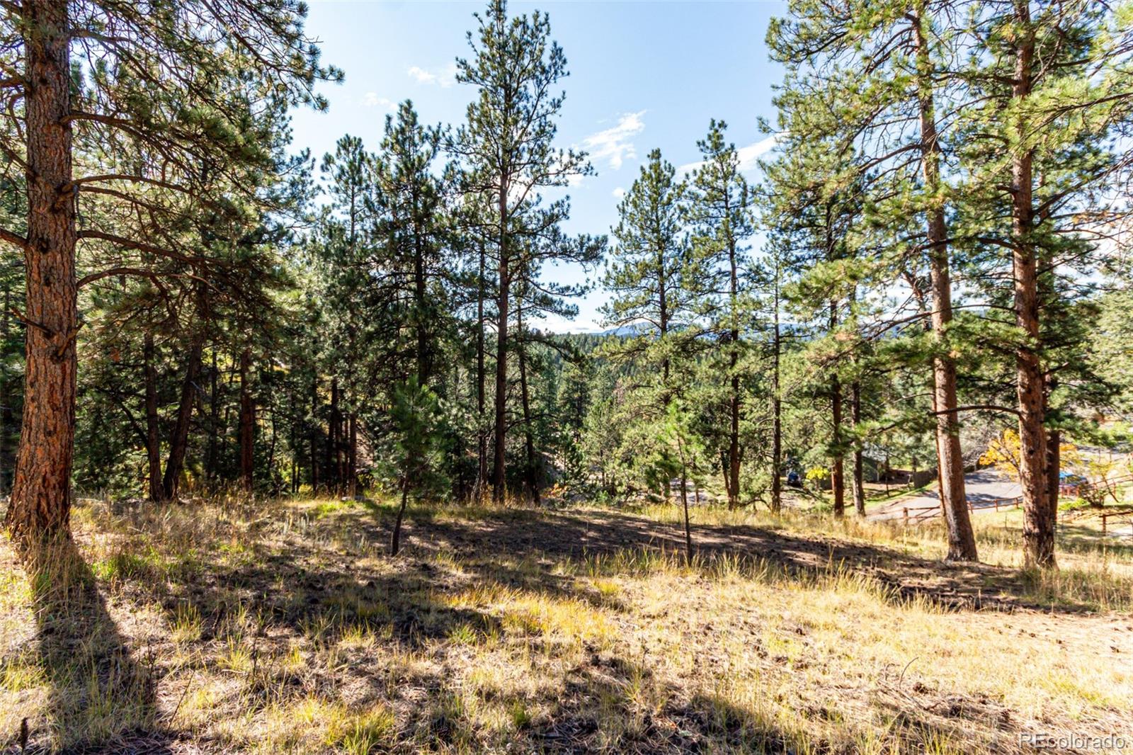27406 Mountain Park Road Evergreen CO 80439