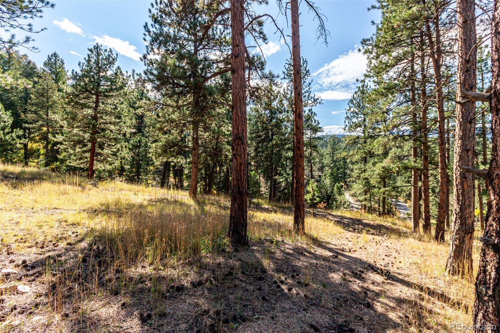 27406 Mountain Park Road Evergreen CO 80439