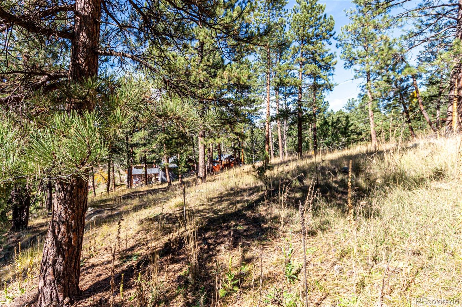 27406 Mountain Park Road Evergreen CO 80439