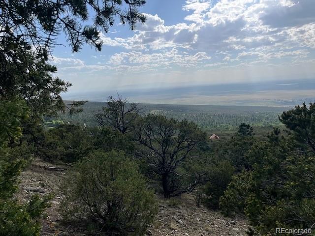 314 Arrastre Road Mosca CO 81146