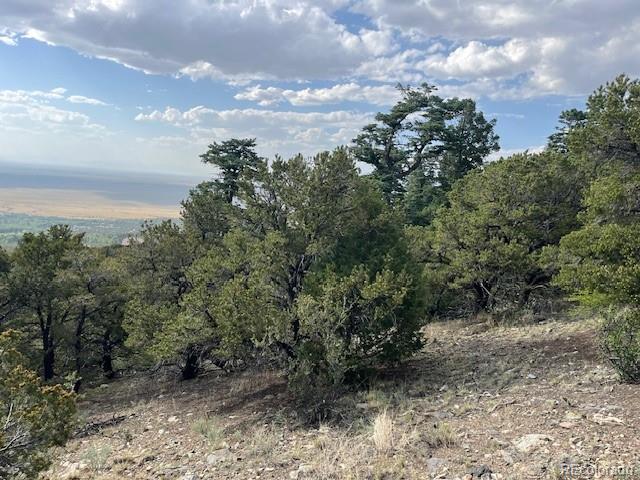 314 Arrastre Road Mosca CO 81146