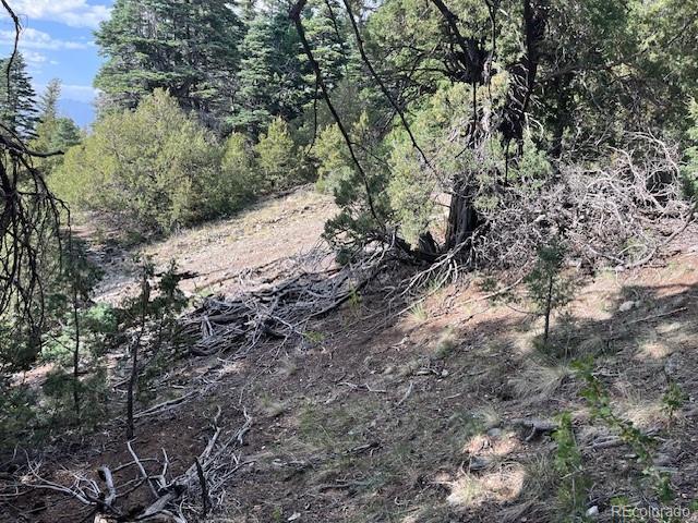 314 Arrastre Road Mosca CO 81146