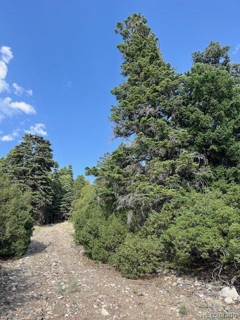 314 Arrastre Road Mosca CO 81146