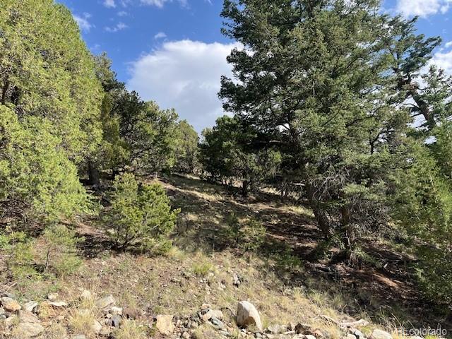 314 Arrastre Road Mosca CO 81146