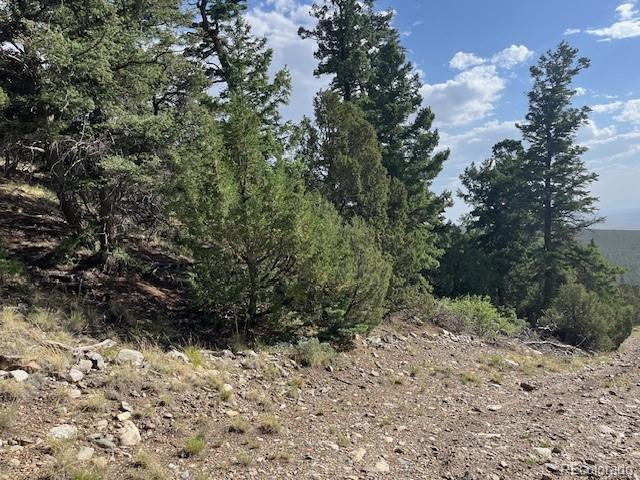 314 Arrastre Road Mosca CO 81146