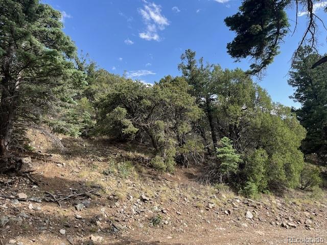 314 Arrastre Road Mosca CO 81146