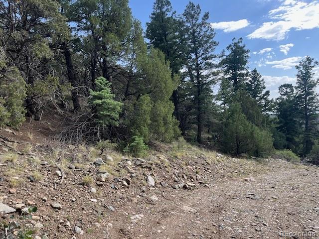 314 Arrastre Road Mosca CO 81146
