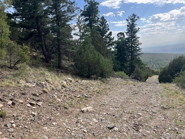 314 Arrastre Road Mosca CO 81146