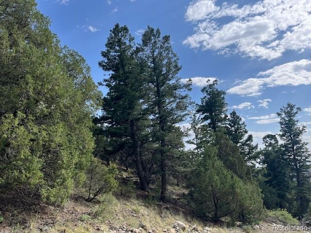 314 Arrastre Road Mosca CO 81146
