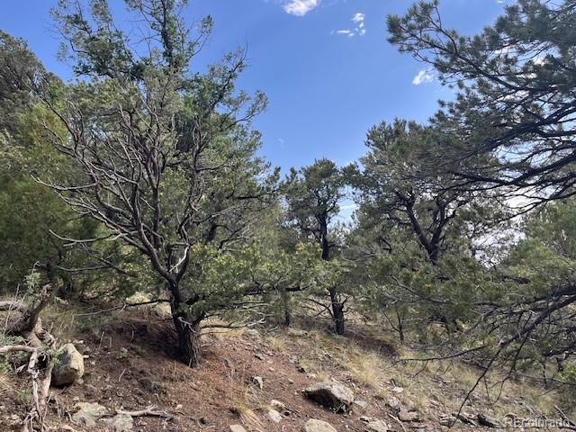 314 Arrastre Road Mosca CO 81146