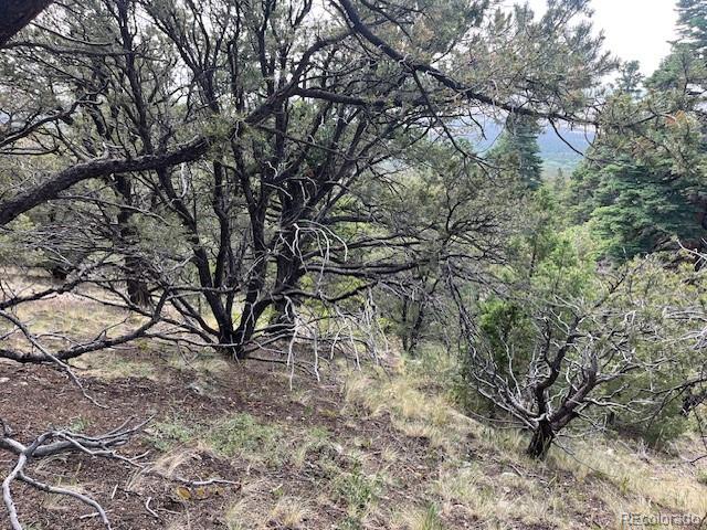 314 Arrastre Road Mosca CO 81146