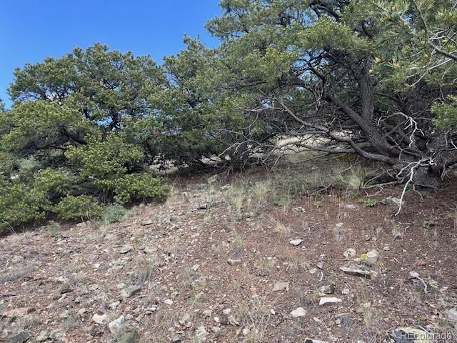 314 Arrastre Road Mosca CO 81146
