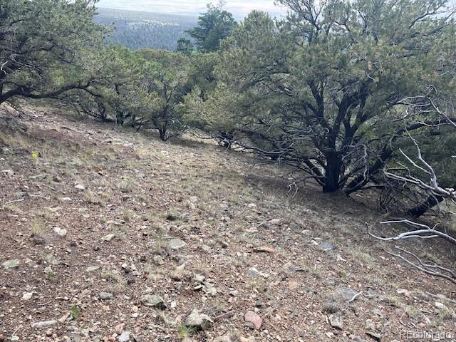 314 Arrastre Road Mosca CO 81146