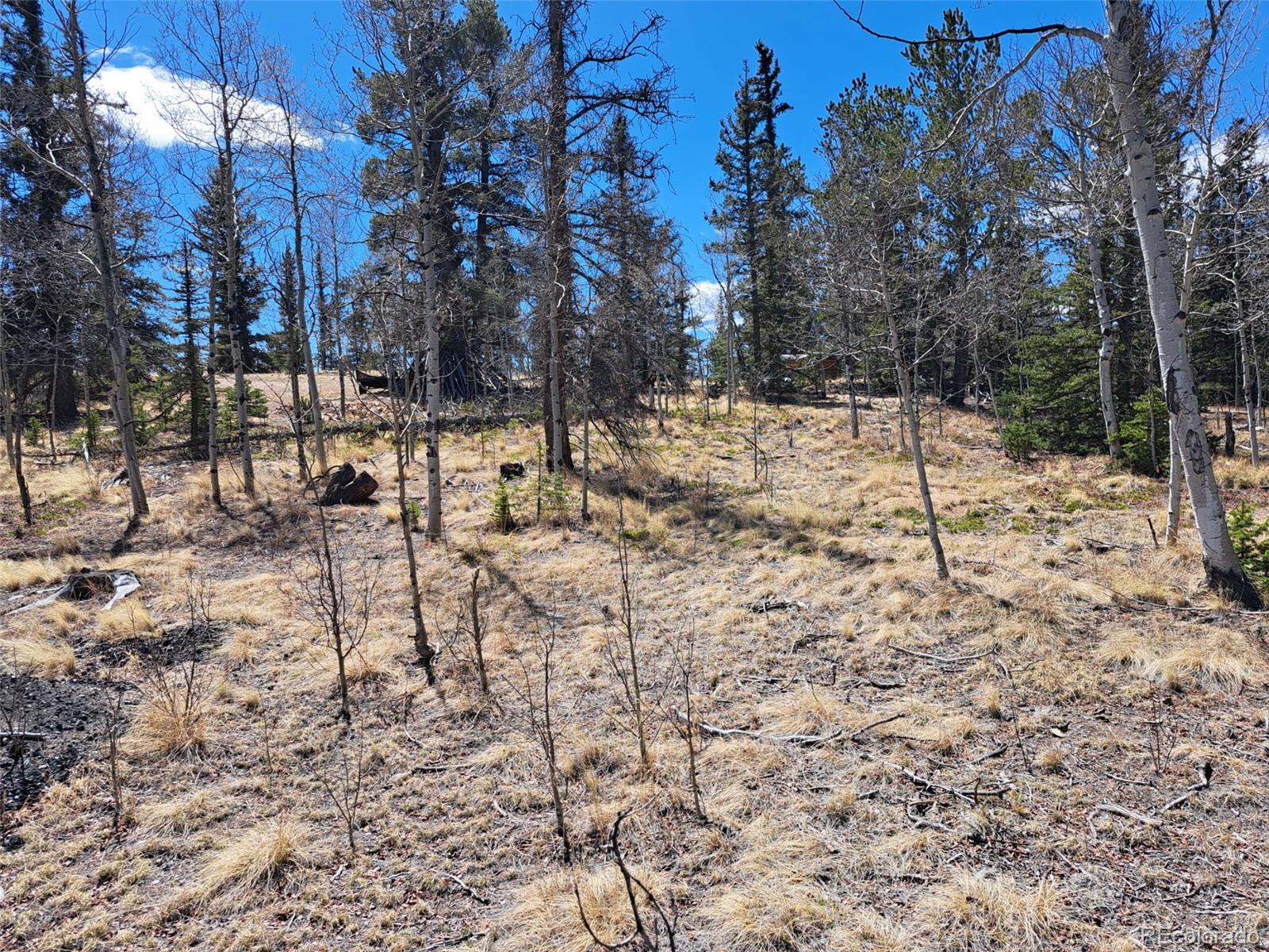 730 Tepee Trail Como CO 80432