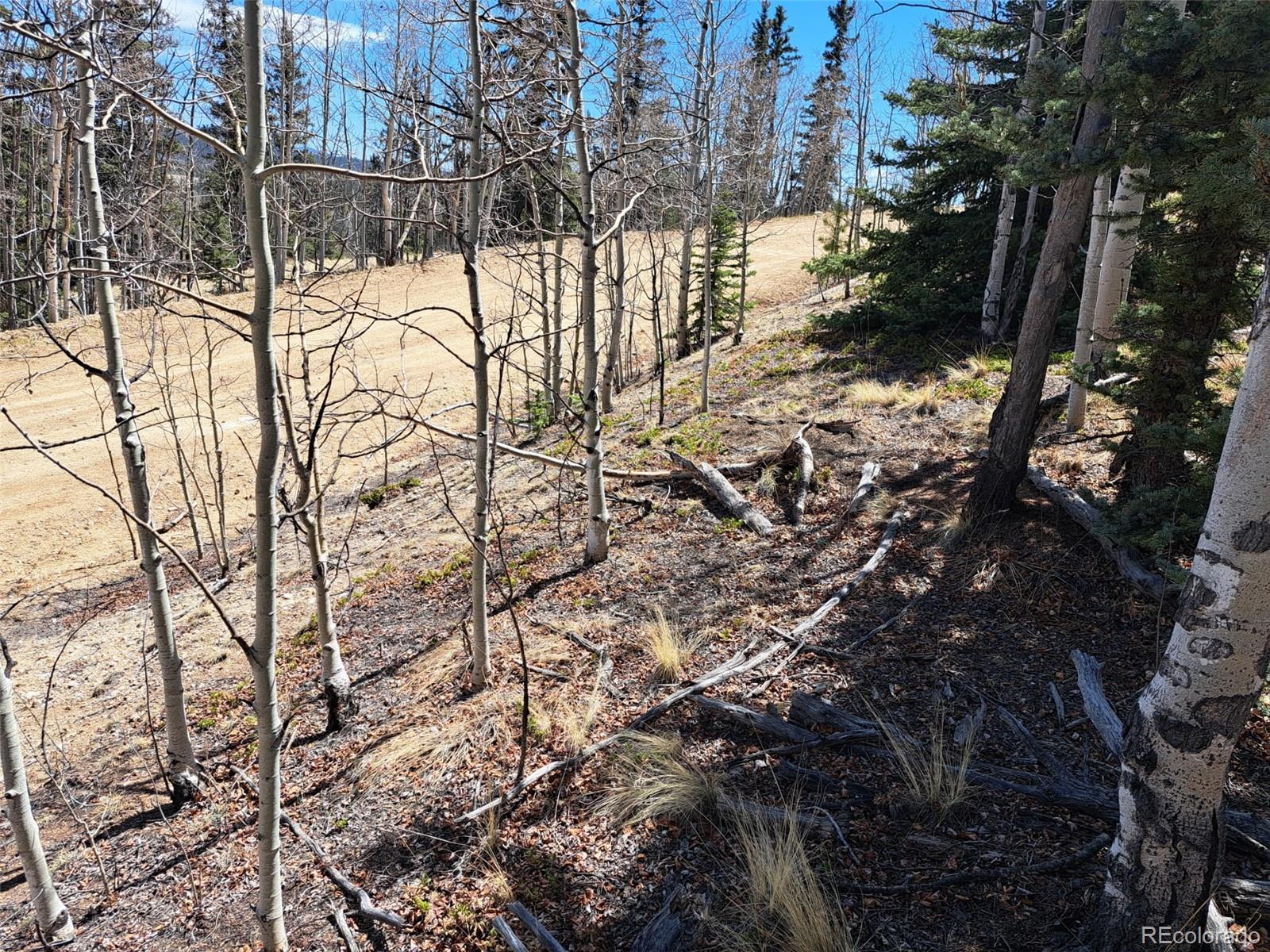 730 Tepee Trail Como CO 80432