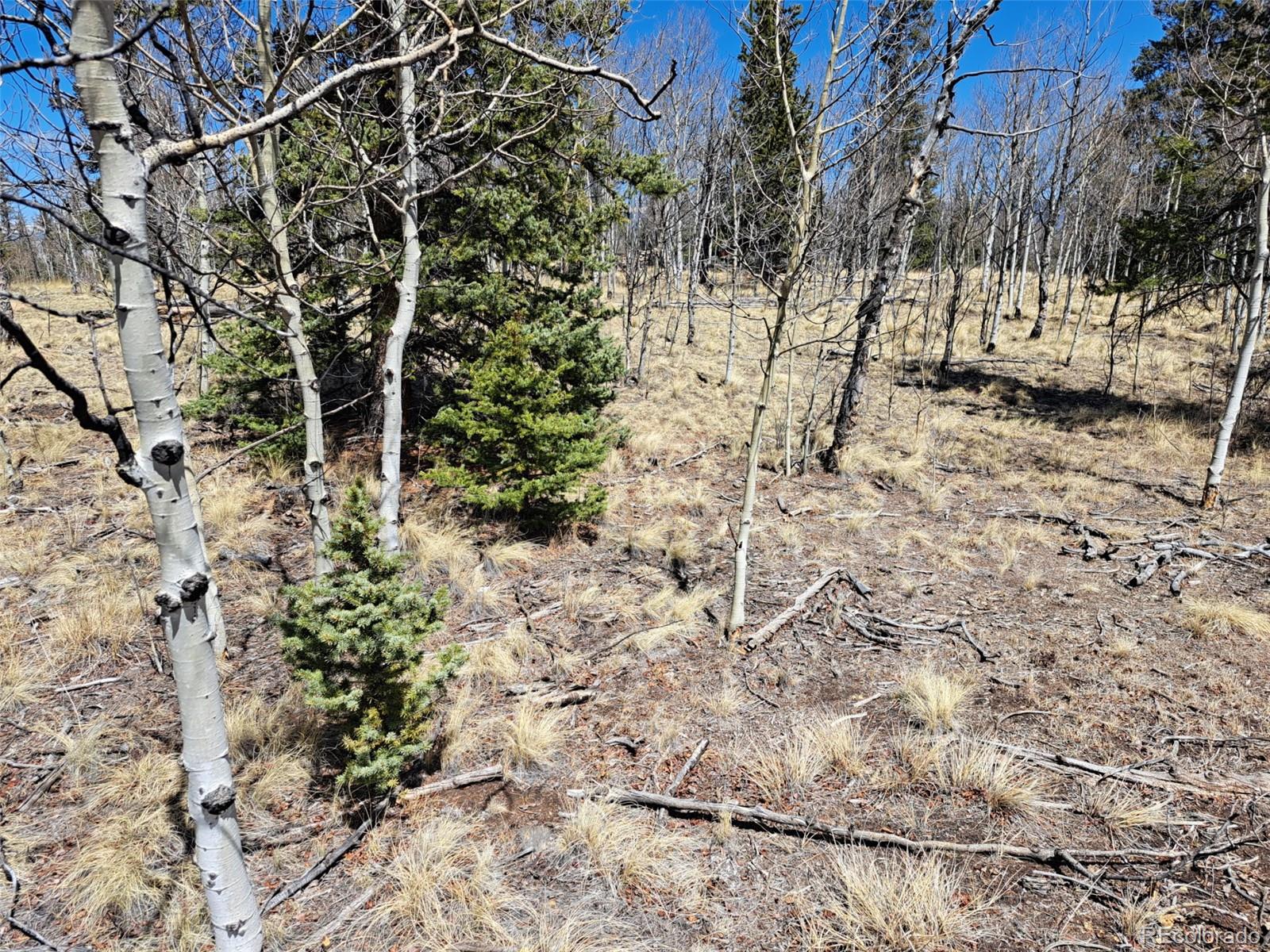 730 Tepee Trail Como CO 80432