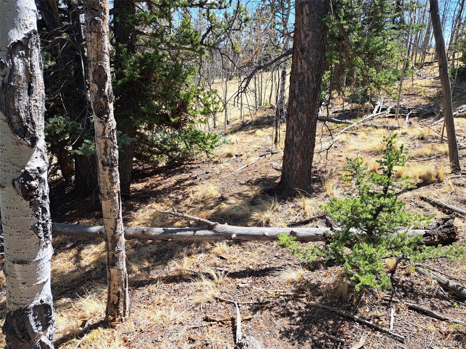 730 Tepee Trail Como CO 80432
