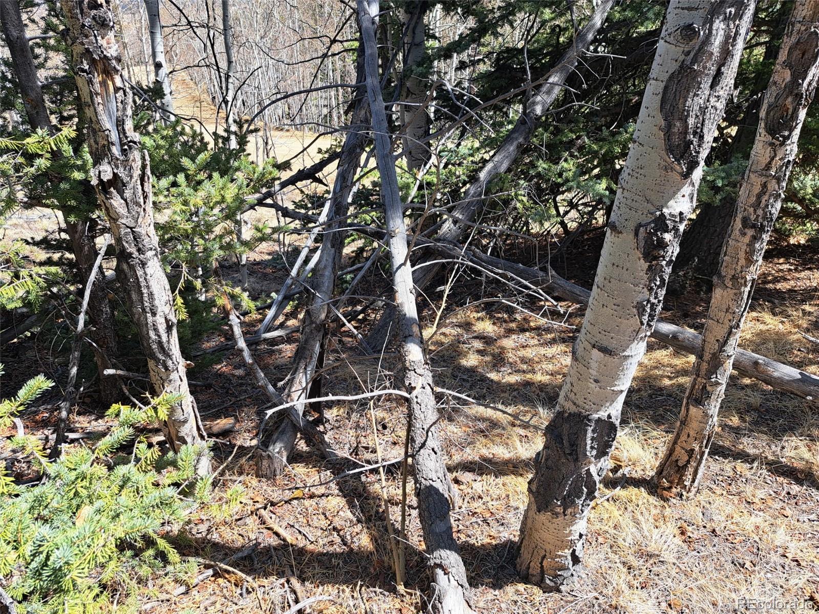 730 Tepee Trail Como CO 80432