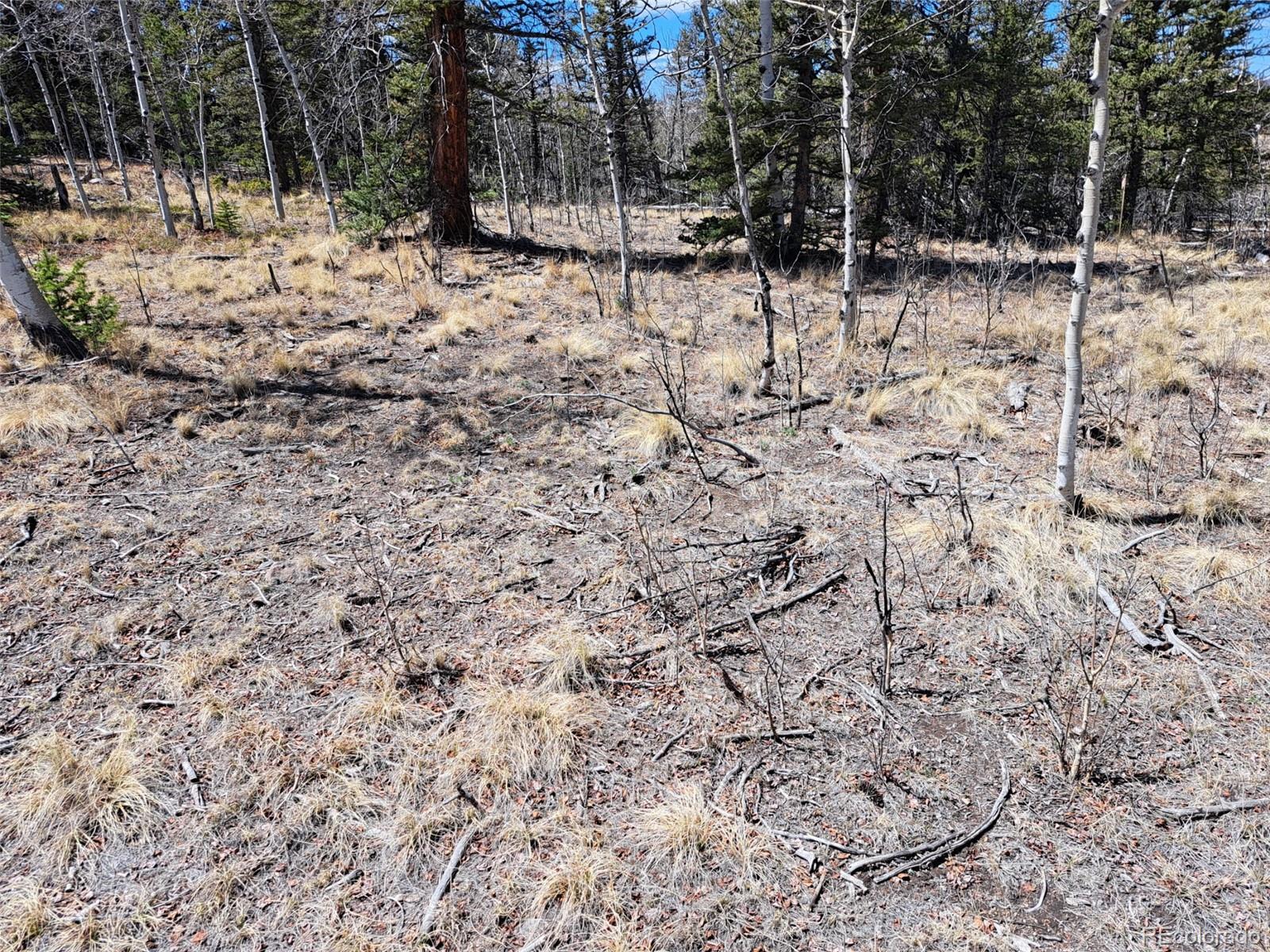 730 Tepee Trail Como CO 80432