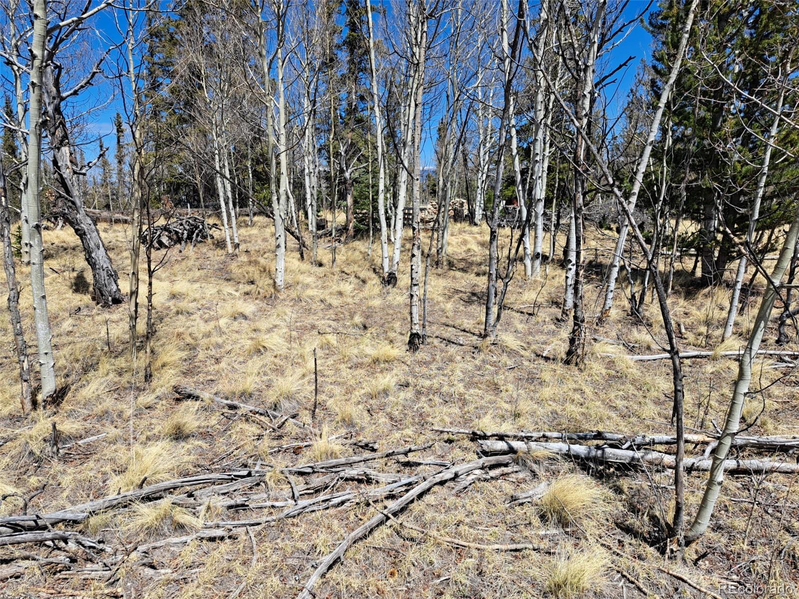730 Tepee Trail Como CO 80432