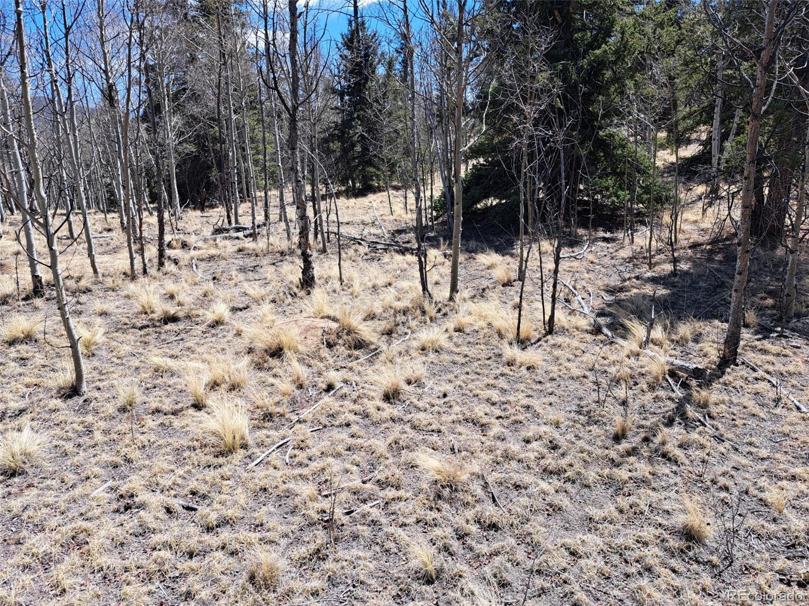 730 Tepee Trail Como CO 80432