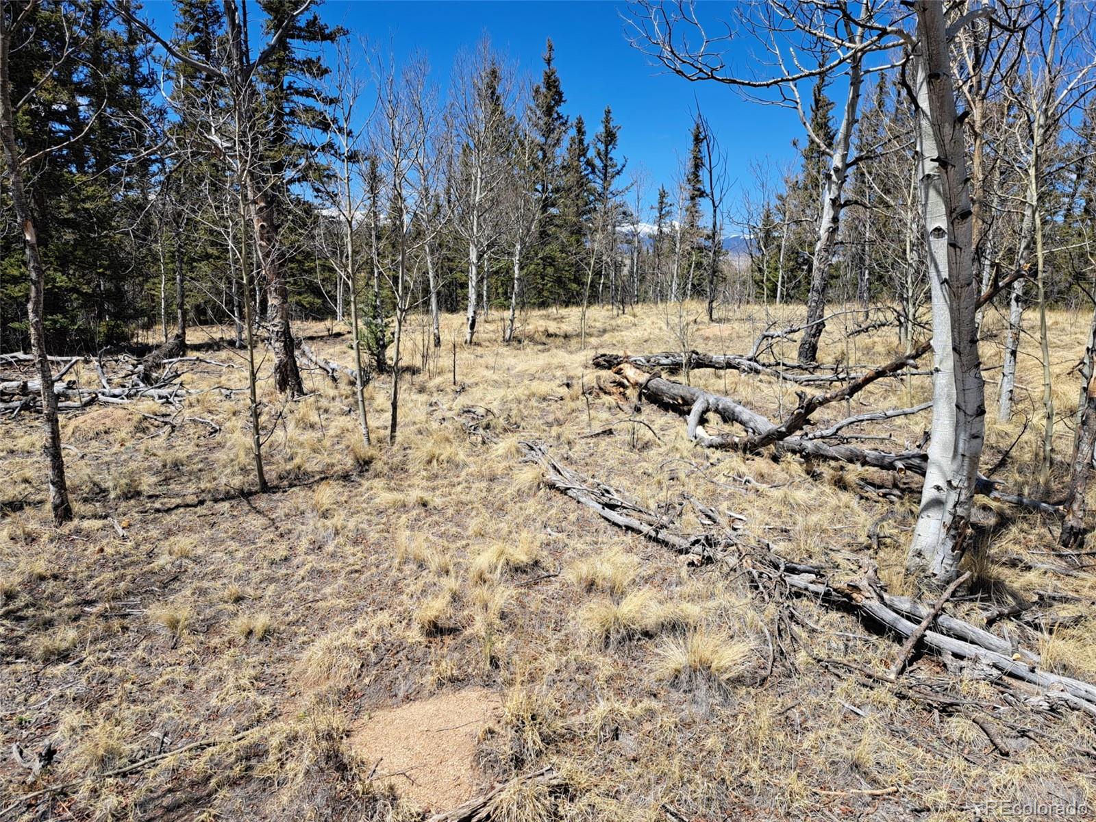 730 Tepee Trail Como CO 80432