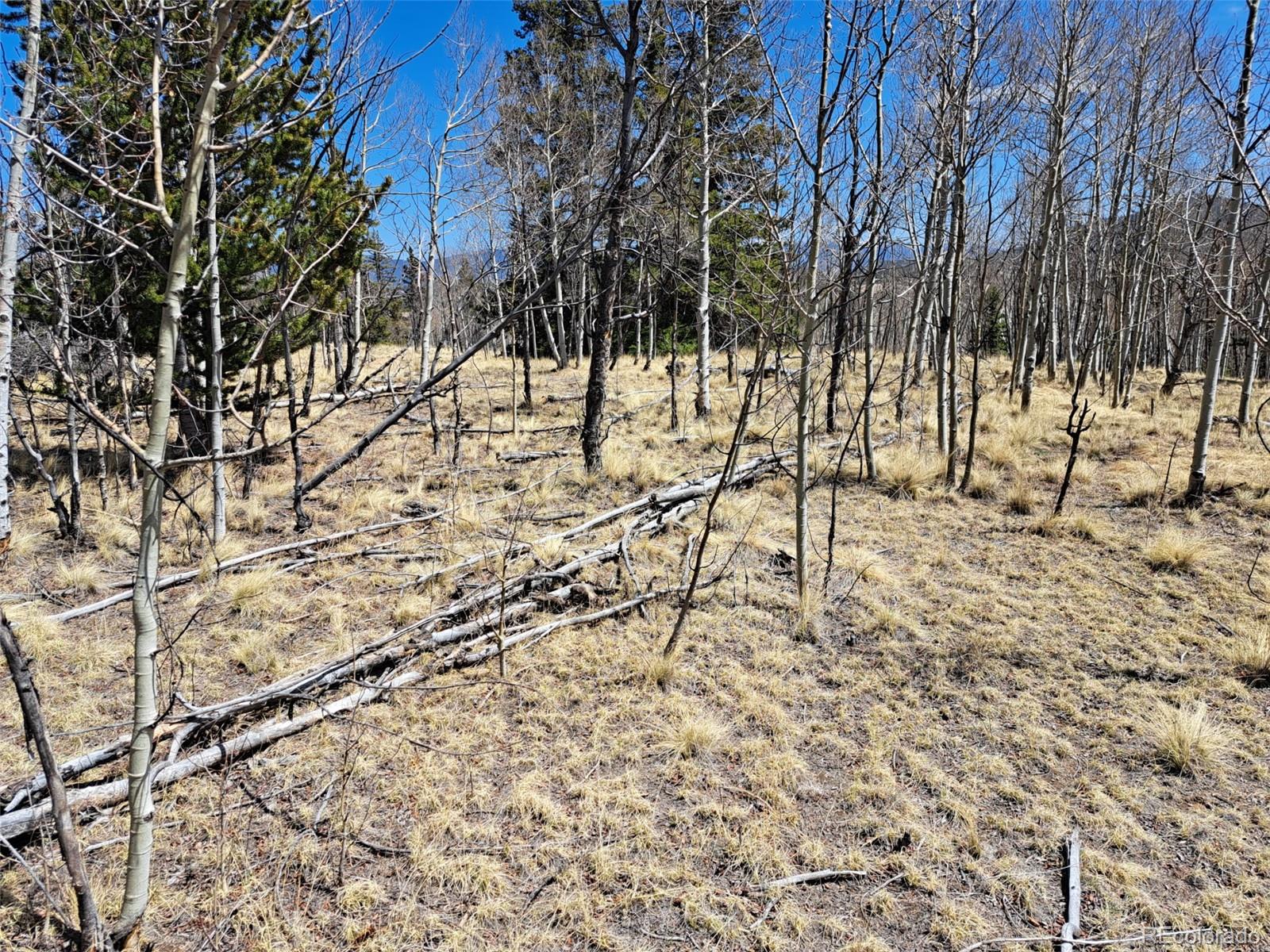 730 Tepee Trail Como CO 80432