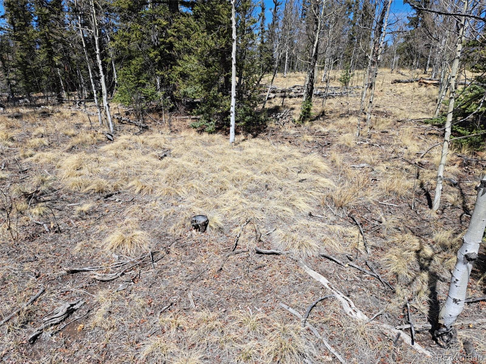 730 Tepee Trail Como CO 80432