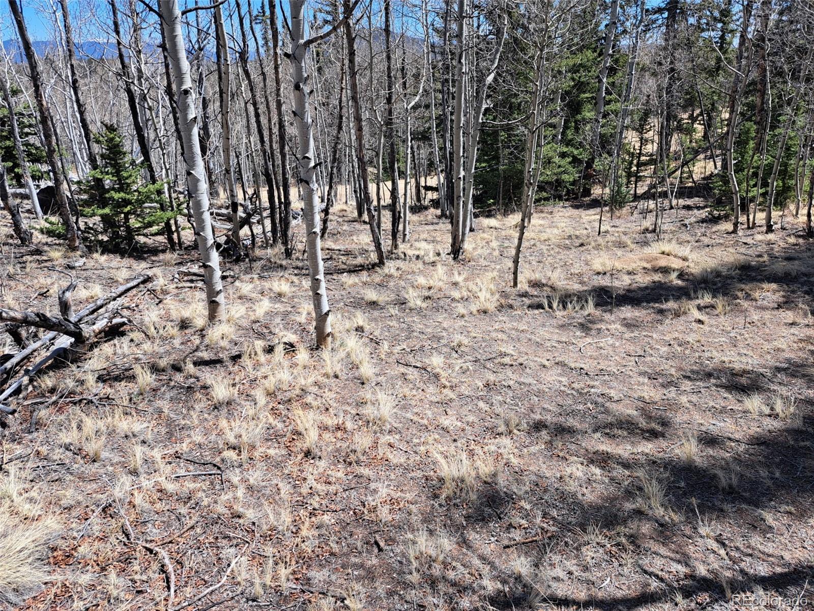 730 Tepee Trail Como CO 80432