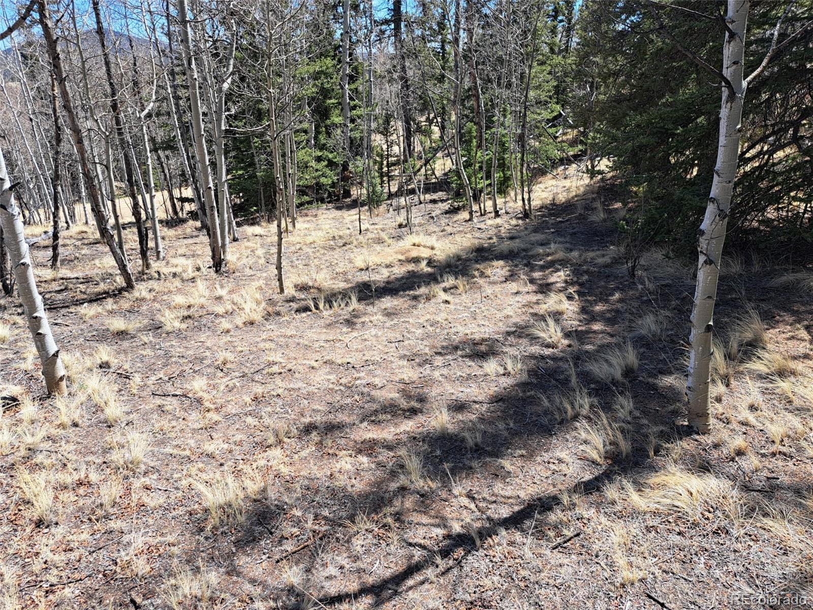 730 Tepee Trail Como CO 80432