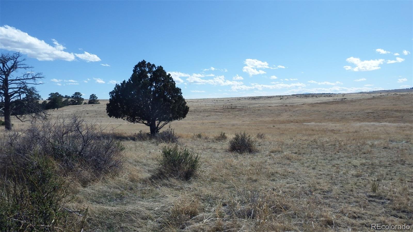 35584 Comanche Creek Road Kiowa CO 80117