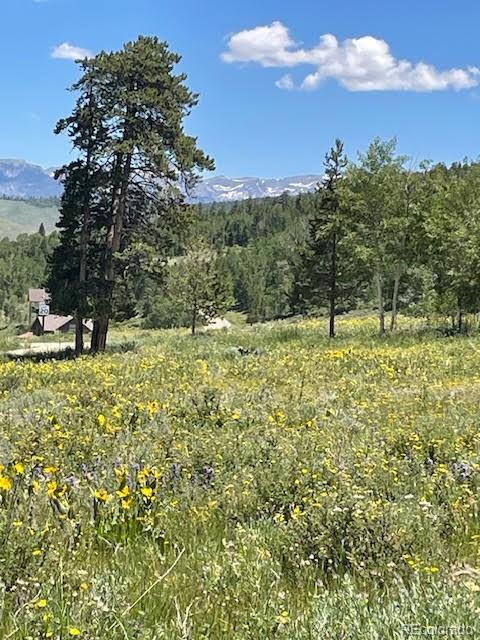 2509 County Road 88 Granby CO 80446
