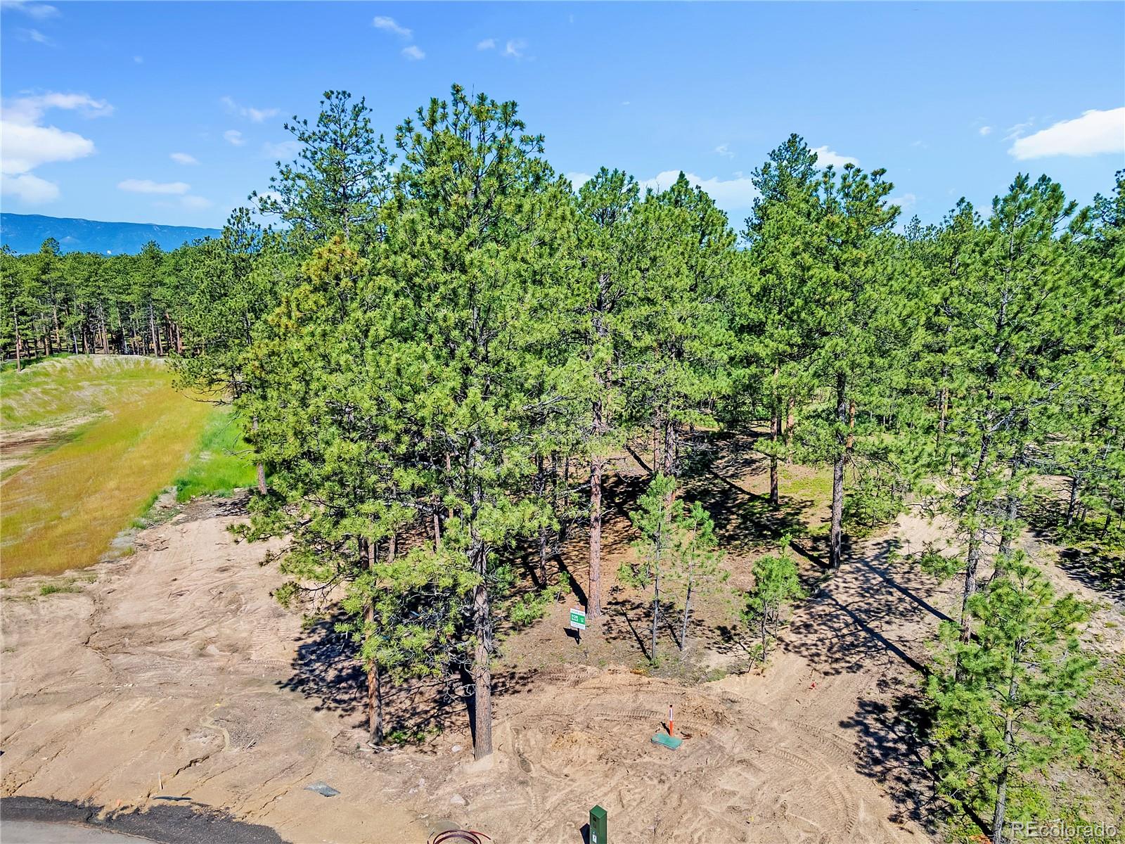 14130 Allen Ranch Road Colorado Springs CO 80908