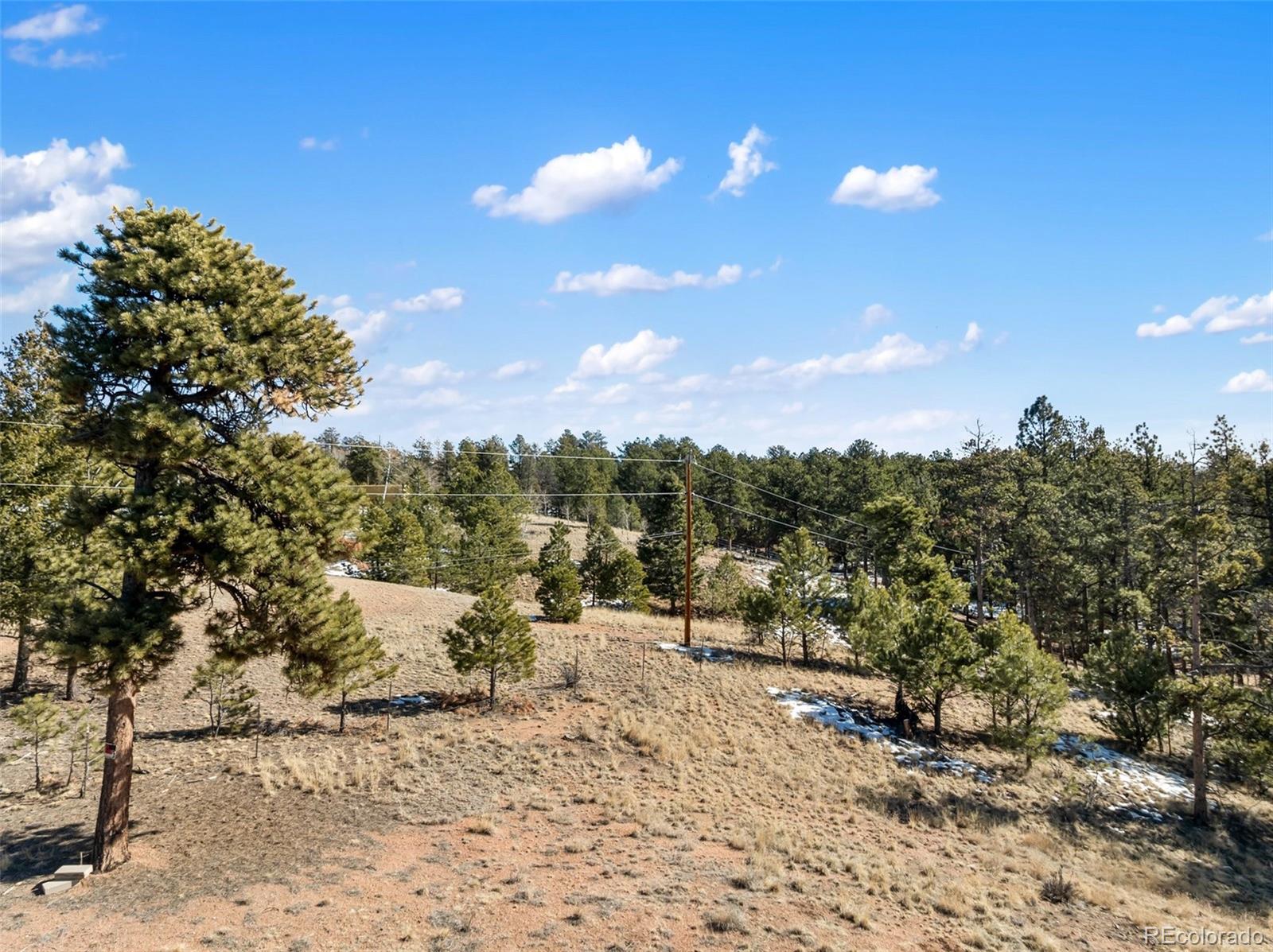 530 Columbine Road Florissant CO 80816