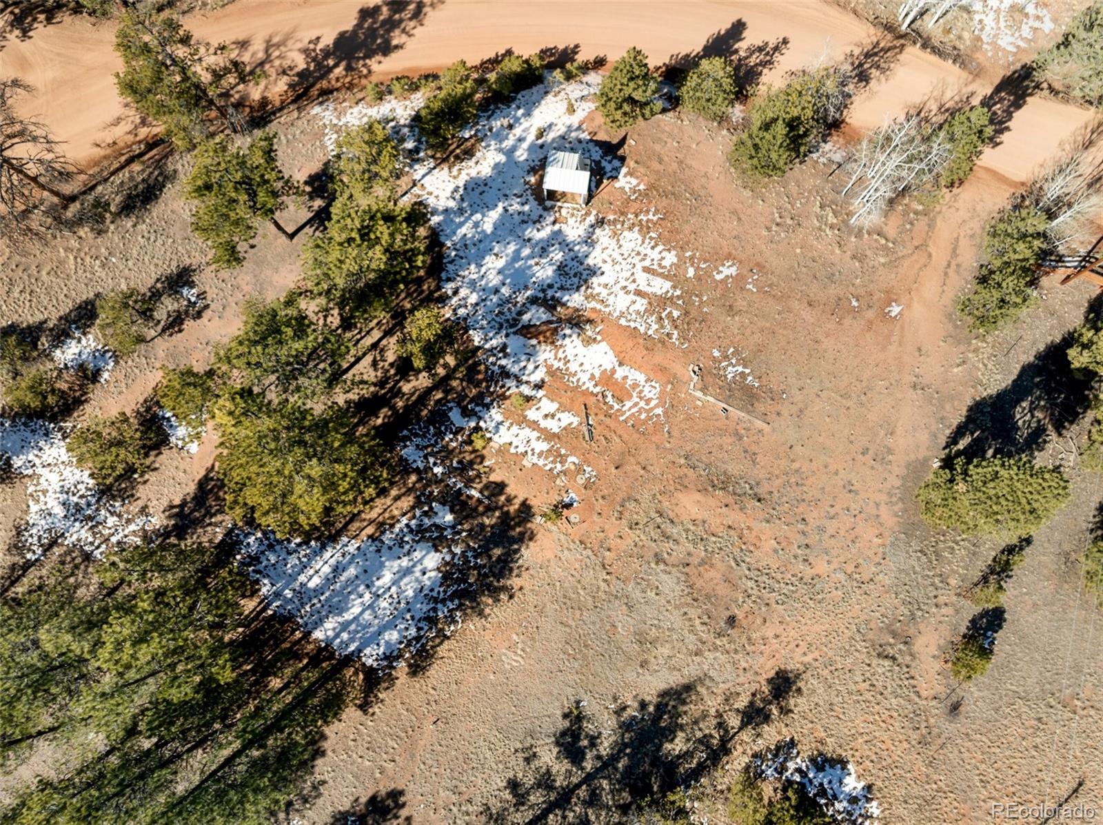 530 Columbine Road Florissant CO 80816