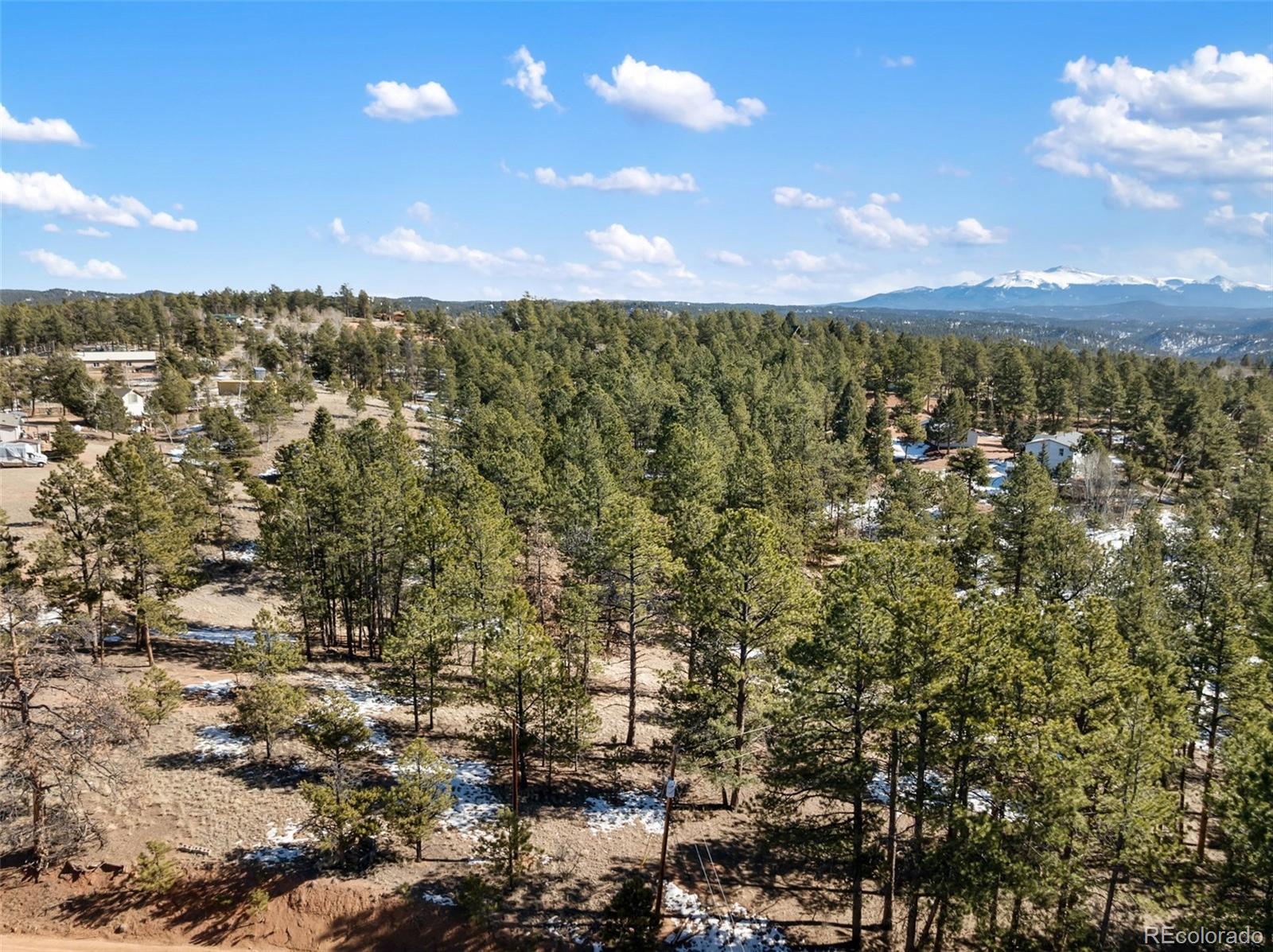 530 Columbine Road Florissant CO 80816