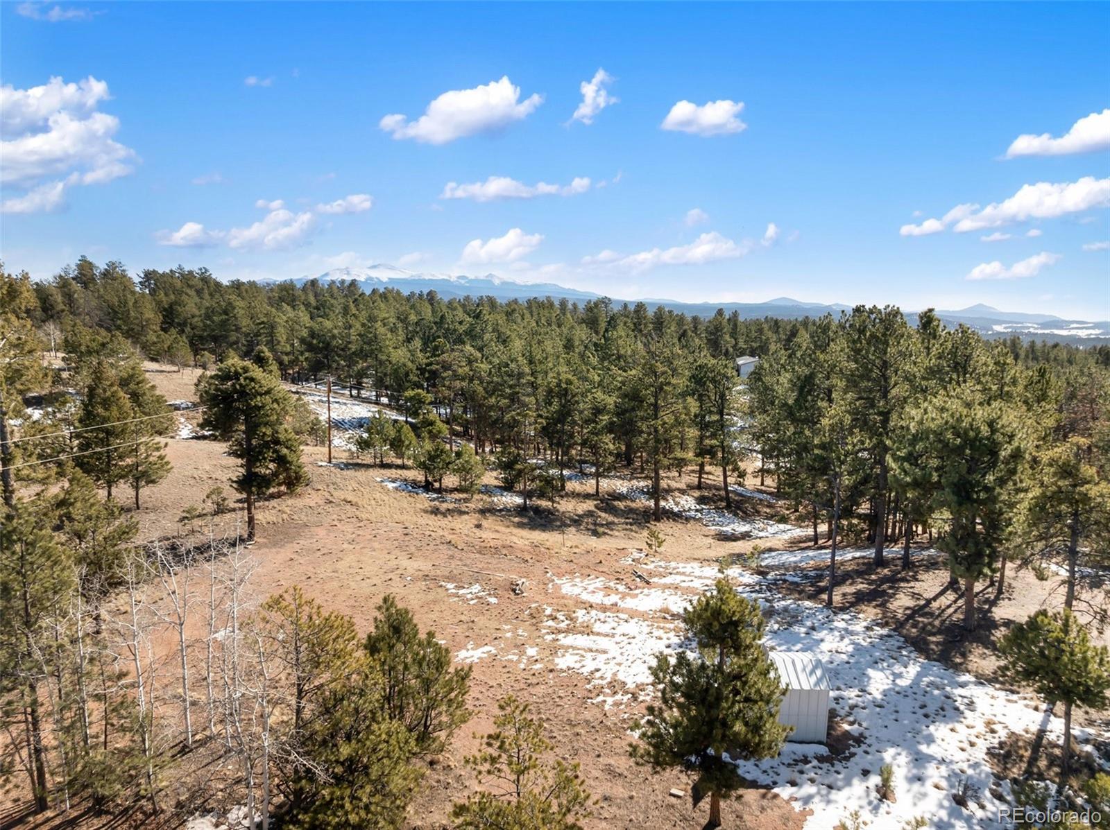 530 Columbine Road Florissant CO 80816