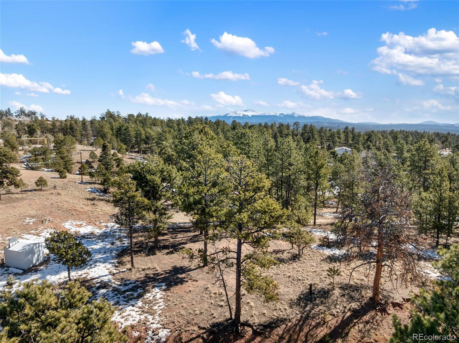 530 Columbine Road Florissant CO 80816