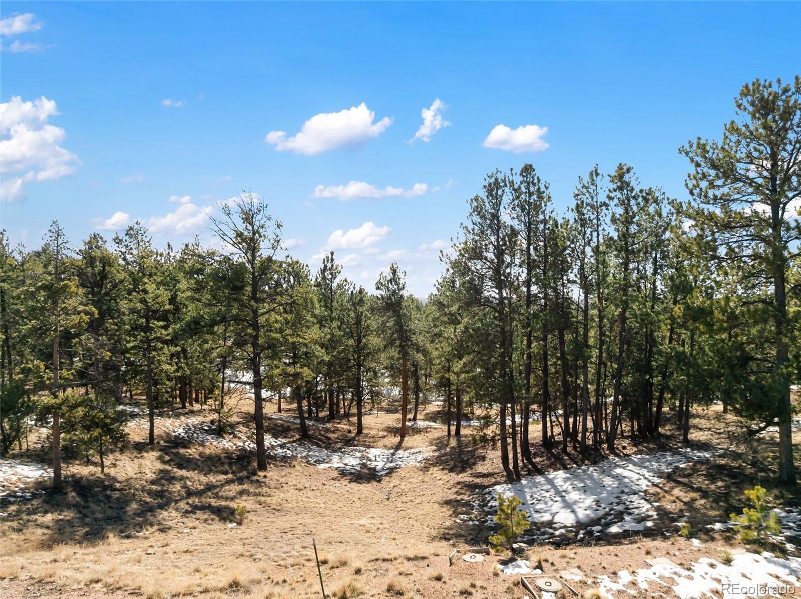 530 Columbine Road Florissant CO 80816